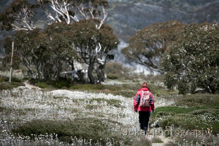 Thredbo_20120114_0042.jpg