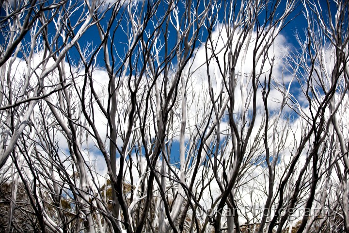 Thredbo_20120114_0151.jpg