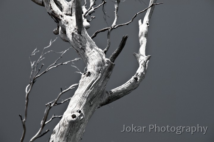 Thredbo_20120114_0161.jpg