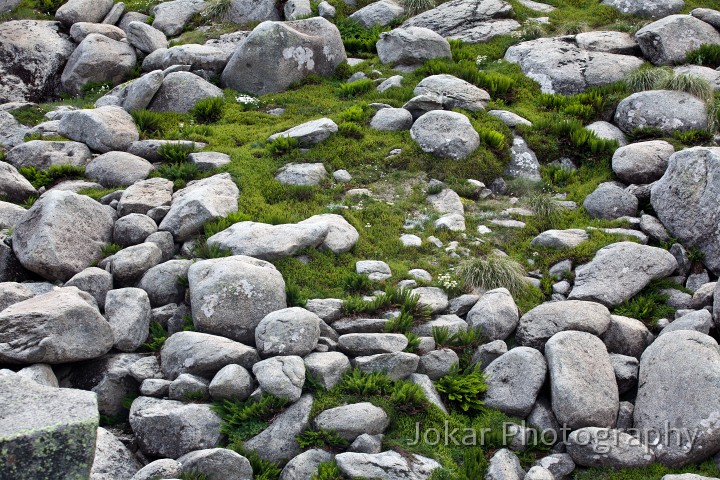 Thredbo_20120115_0215.jpg