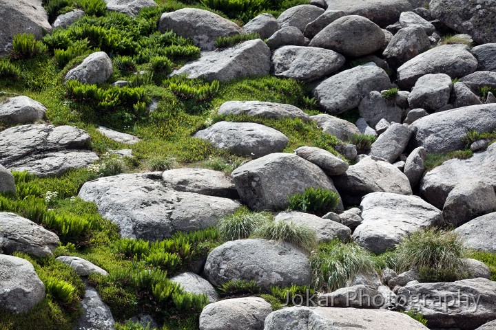 Thredbo_20120115_0220.jpg