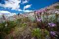 Thredbo_20120114_0019