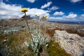 Thredbo_20120114_0023