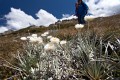 Thredbo_20120114_0027