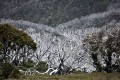 Thredbo_20120114_0106