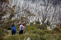 Thredbo_20120114_0147