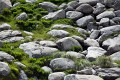 Thredbo_20120115_0220