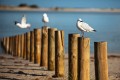 Kalbarri_20120615_007