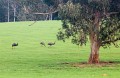 Busselton_20120624_014