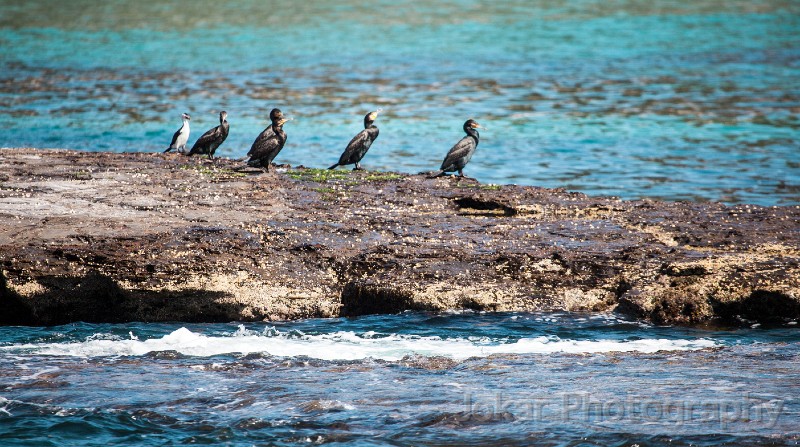 Depot_Beach_20130927_249.jpg