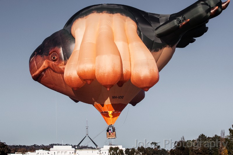 Skywhale_20130519_023.jpg