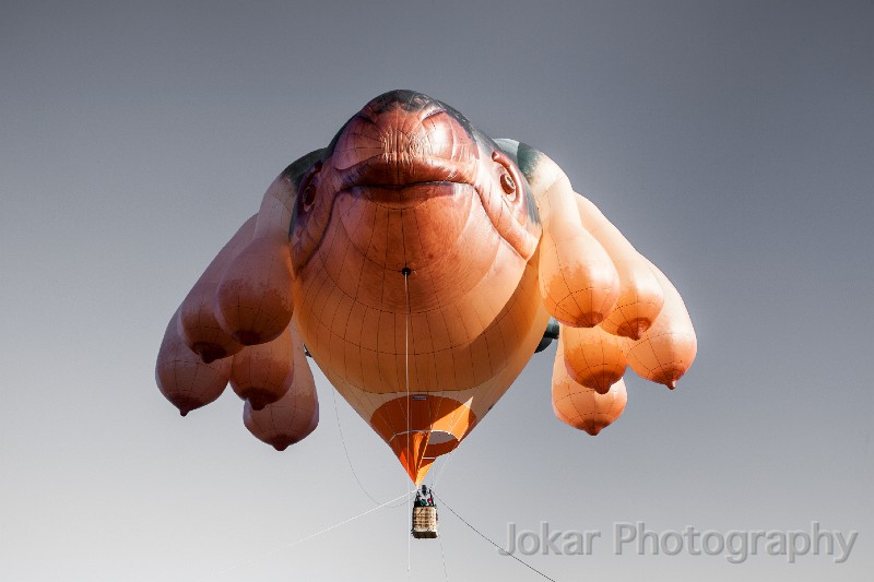 Skywhale_20130519_051.jpg