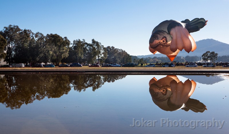 Skywhale_20130519_054.jpg