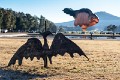 Skywhale_20130519_003