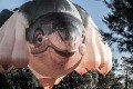 Skywhale_20130519_011