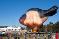 Skywhale_20130519_018