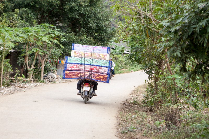 Vietnam_20131116_0768.jpg
