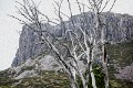 Tasmania_20140212_0042