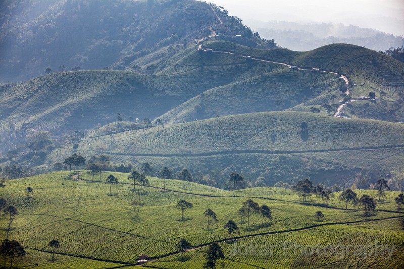 Candi_Sukuh_20150711_219.jpg