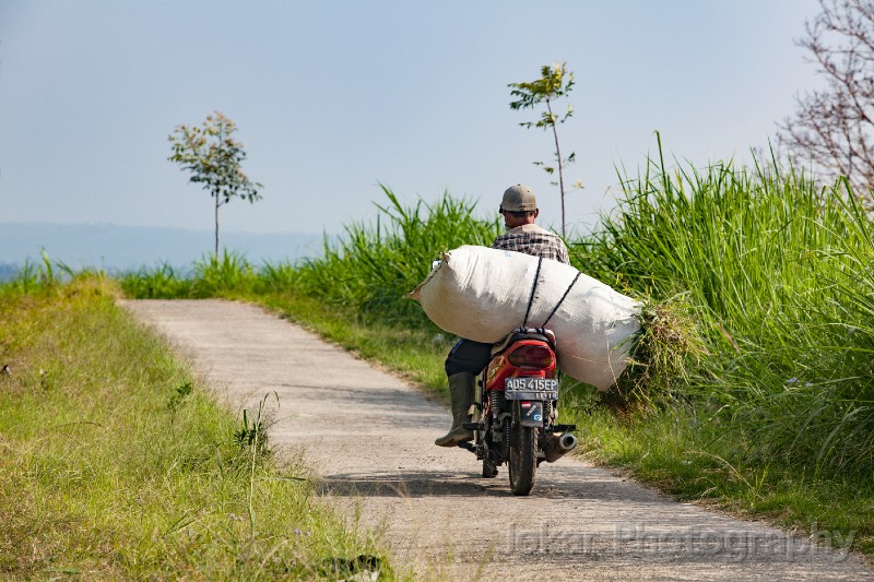 Candi_Sukuh_20150711_227.jpg