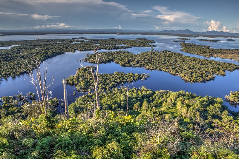 Kapuas_Hulu_20150404_0377_78_79_80_81_tonemapped.jpg