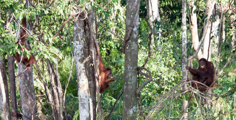 Isen_Mulang_20150520_092.jpg