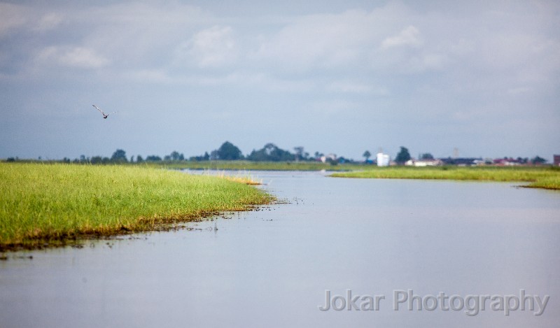 20150501_Sungai_Mahakam_0701.jpg