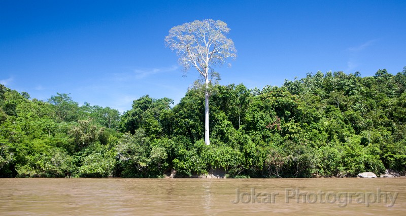 20150504_Sungai_Mahakam_0173.jpg