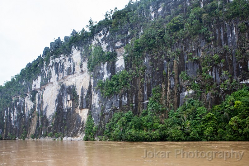 20150505_Sungai_Mahakam_0121.jpg