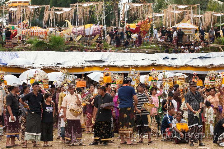 Pejeng_20100624_092.jpg - 13. PEJENG CREMATION #1 - In the village of Pejeng, a large crowd assembles (foreground) for the short procession to the cremation grounds (background), where sarcophagi await their arrival. Mass cremations are held here every five years so as to share the considerable cost of the ceremonies, with the bodies (in this case around 150) buried temporarily until the auspicious day.