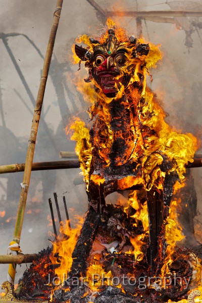 Pejeng_20100624_215.jpg - 4. PEJENG CREMATION #2 - A lembu (sarcophagus in the shape of a bull) burns freely during a mass cremation ceremony in Pejeng village. All 150 fires are lit simultaneously. Bulls are usually only used for the bodies of high caste males, with other animal forms (e.g. deer, lions, fish-elephants) for members of other castes.