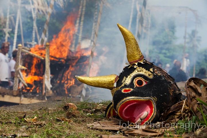 Pejeng_20100624_255.jpg - 8. PEJENG CREMATION #3 - The head of a lembu (sarcophagus in the form of a bull) lies on the cremation ground in Pejeng village, during the mass cremation ceremony held there every five years.