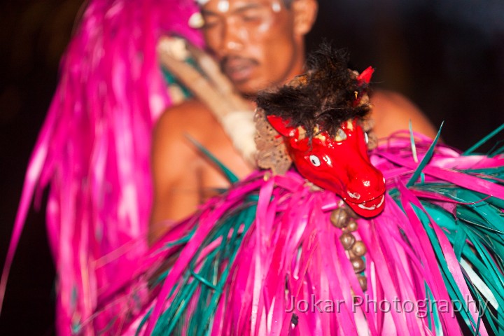 Pura_Dalem_Kecak_dance20100226_076.jpg - 25. PURA DALEM, UBUD #6 - In the Sang Hyang Jaran dance a young male dancer, ‘riding’ a wood-and-rattan hobby-horse, dances  in a state of trance on a bed of burning coconut husks. This dance is not unique to Hindu Bali, as a similar dance is performed throughout Java.